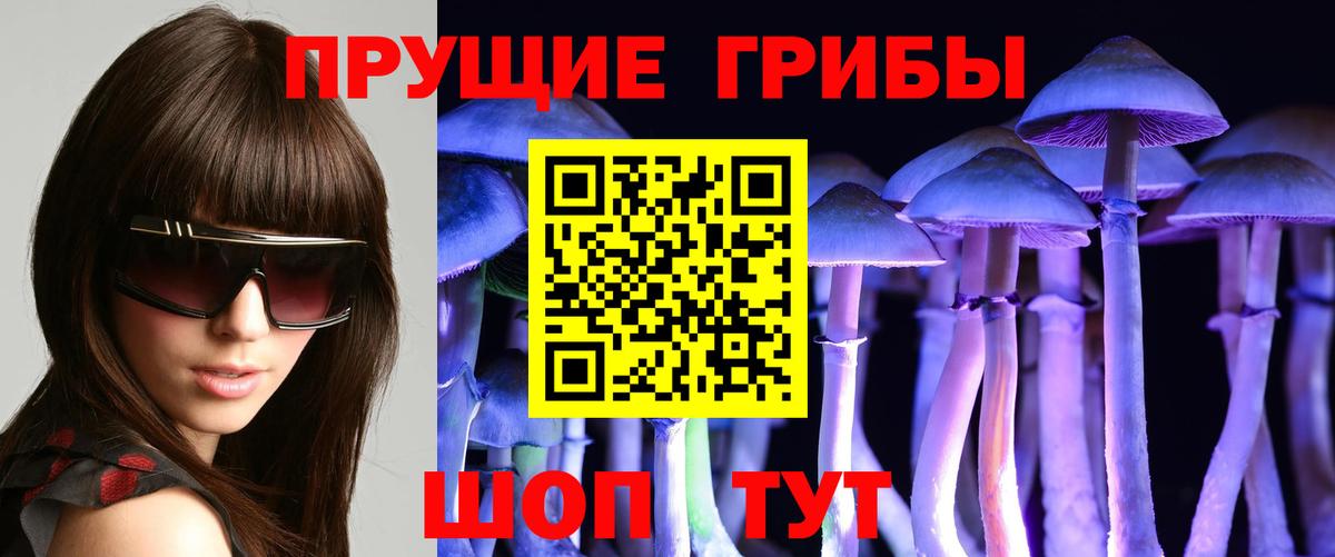 Псилоцибиновые грибы Cubensis Россия